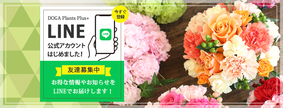 公式LINE